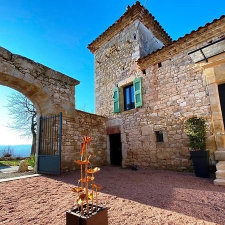 Domaine De Lejos - Portes D'Albi Lamillarié Dış mekan fotoğraf