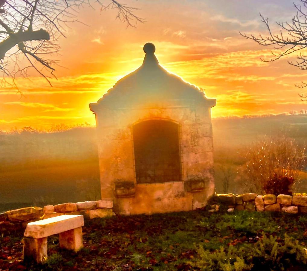 Domaine De Lejos - Portes D'Albi Lamillarié Dış mekan fotoğraf