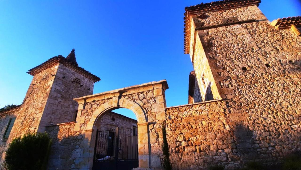Domaine De Lejos - Portes D'Albi Lamillarié Dış mekan fotoğraf