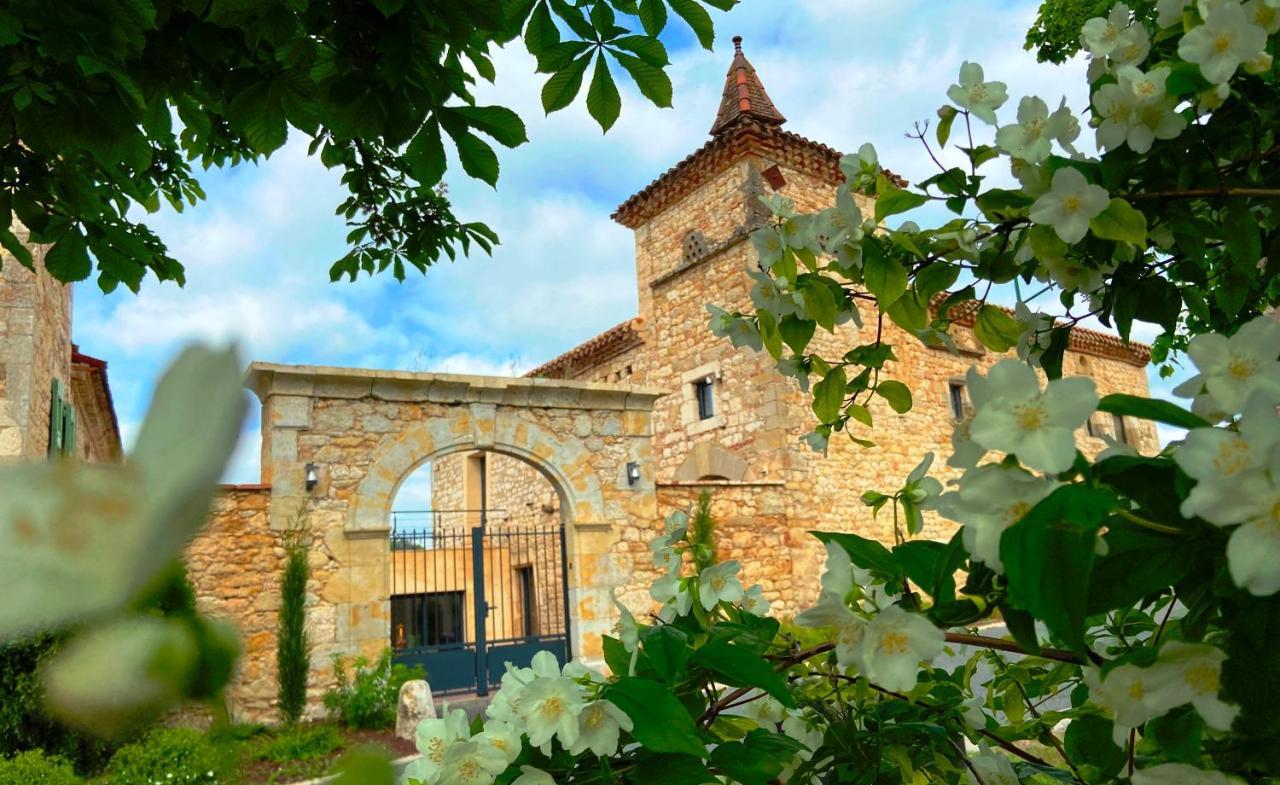 Domaine De Lejos - Portes D'Albi Lamillarié Dış mekan fotoğraf