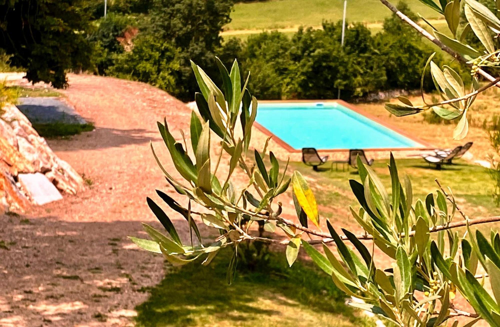 Domaine De Lejos - Portes D'Albi Lamillarié Dış mekan fotoğraf