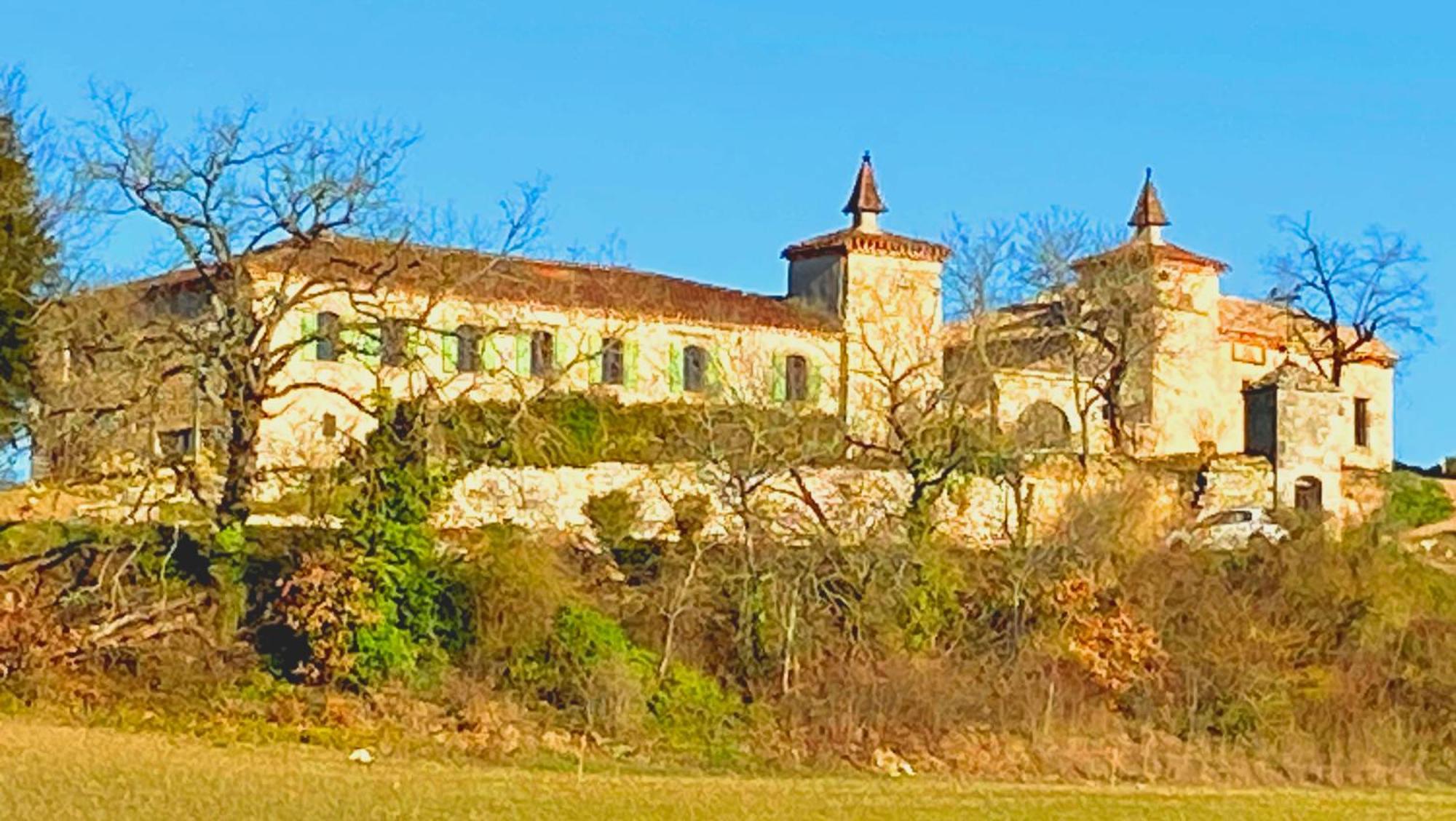 Domaine De Lejos - Portes D'Albi Lamillarié Dış mekan fotoğraf
